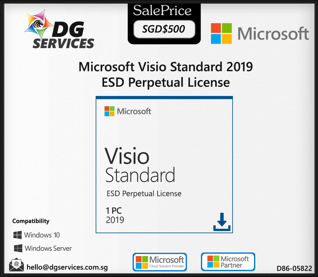 Microsoft Visio Standard 2019 (D86-05822)