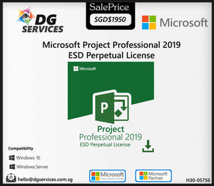 Microsoft Project Professional 2019 ESD (H30-05756)