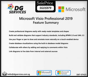 Microsoft Visio Professional 2019 ESD (D87-07425)